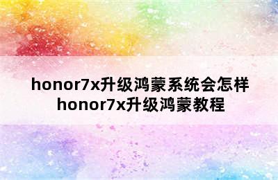 honor7x升级鸿蒙系统会怎样 honor7x升级鸿蒙教程